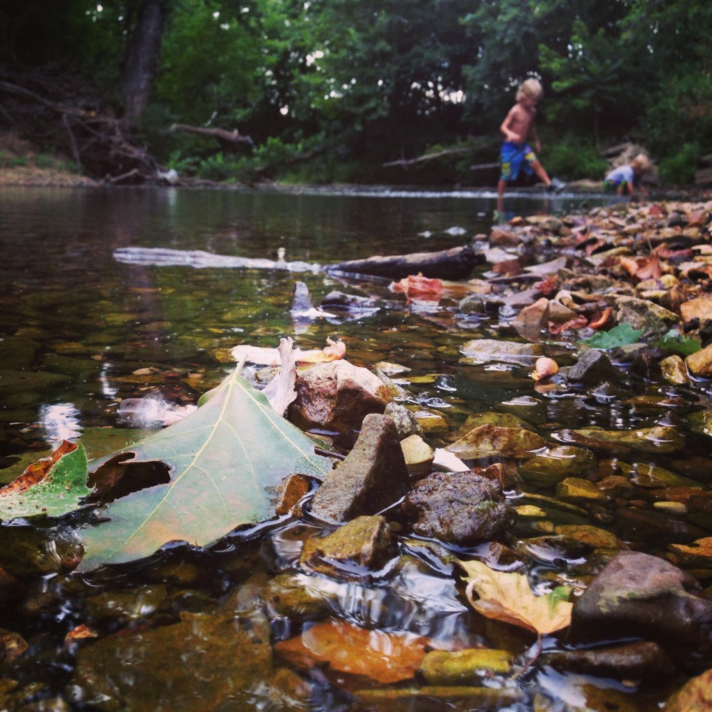 mud creek trail fayetteville, ar