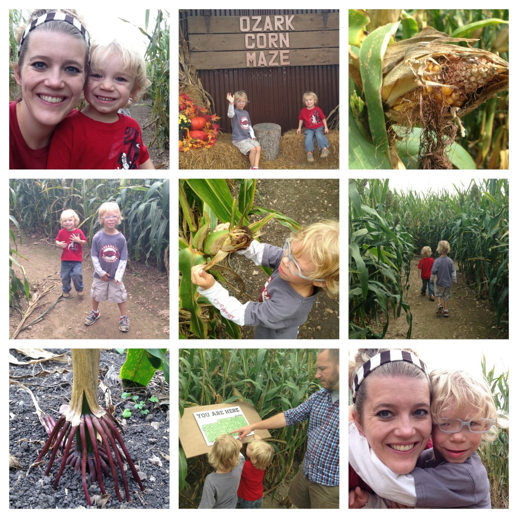 Ozark Corn Maze 