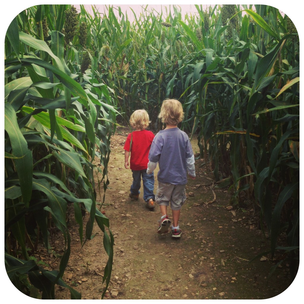 Corn Maze NWA