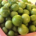 Green Tomatoes